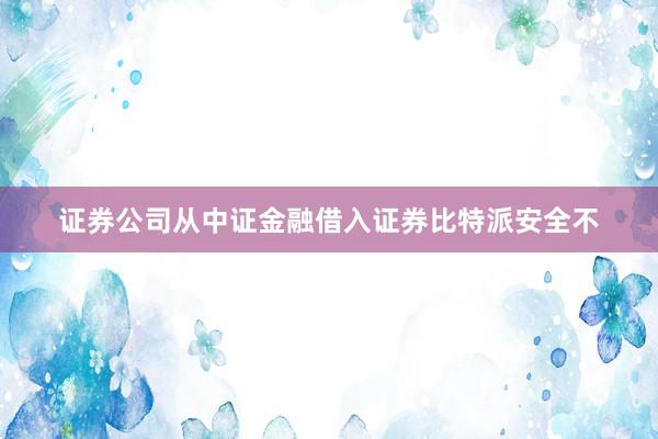 证券公司从中证金融借入证券比特派安全不