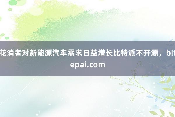 花消者对新能源汽车需求日益增长比特派不开源，bitepai.com