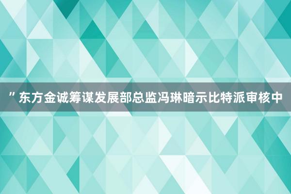 ”东方金诚筹谋发展部总监冯琳暗示比特派审核中