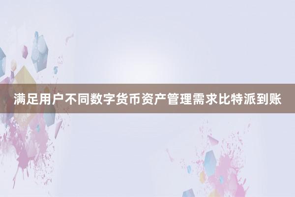 满足用户不同数字货币资产管理需求比特派到账