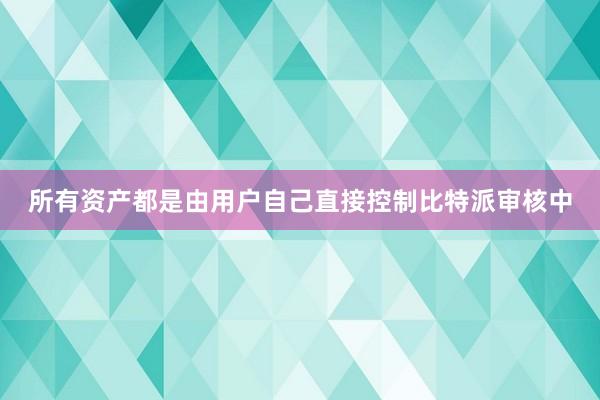 所有资产都是由用户自己直接控制比特派审核中