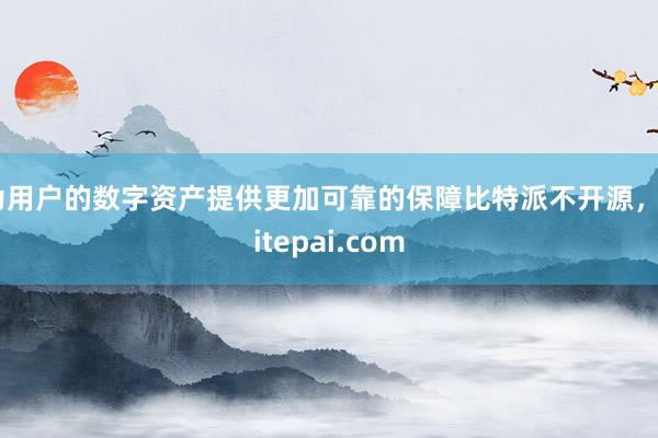 为用户的数字资产提供更加可靠的保障比特派不开源，bitepai.com