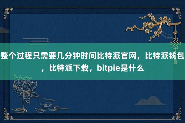 整个过程只需要几分钟时间比特派官网，比特派钱包，比特派下载，bitpie是什么