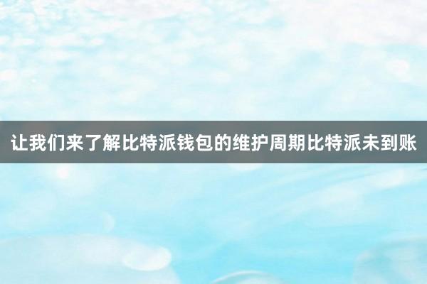 让我们来了解比特派钱包的维护周期比特派未到账