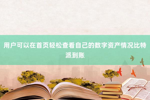 用户可以在首页轻松查看自己的数字资产情况比特派到账