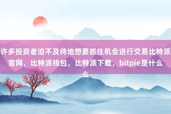 许多投资者迫不及待地想要抓住机会进行交易比特派官网，比特派钱包，比特派下载，bitpie是什么