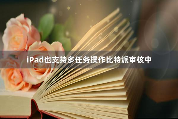 iPad也支持多任务操作比特派审核中