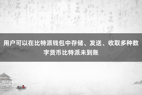 用户可以在比特派钱包中存储、发送、收取多种数字货币比特派未到账