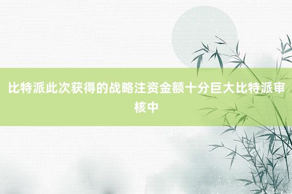 比特派此次获得的战略注资金额十分巨大比特派审核中