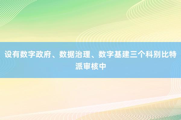 设有数字政府、数据治理、数字基建三个科别比特派审核中