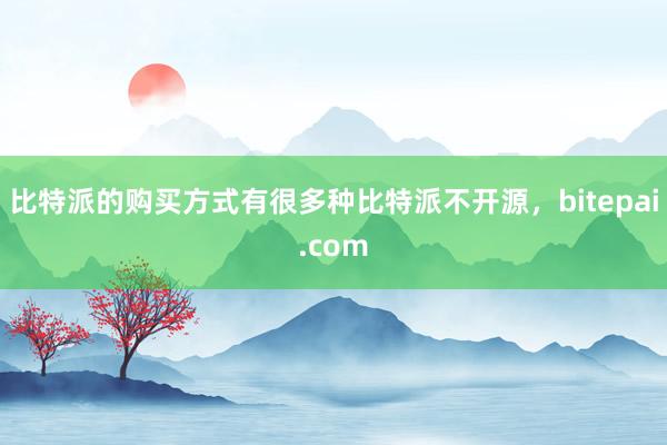 比特派的购买方式有很多种比特派不开源，bitepai.com