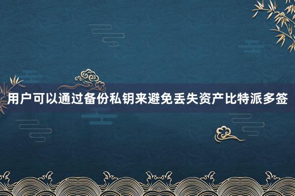 用户可以通过备份私钥来避免丢失资产比特派多签