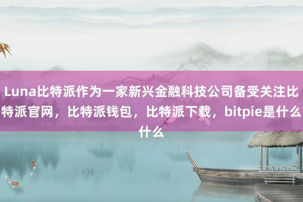 Luna比特派作为一家新兴金融科技公司备受关注比特派官网，比特派钱包，比特派下载，bitpie是什么