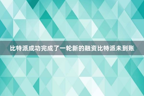 比特派成功完成了一轮新的融资比特派未到账