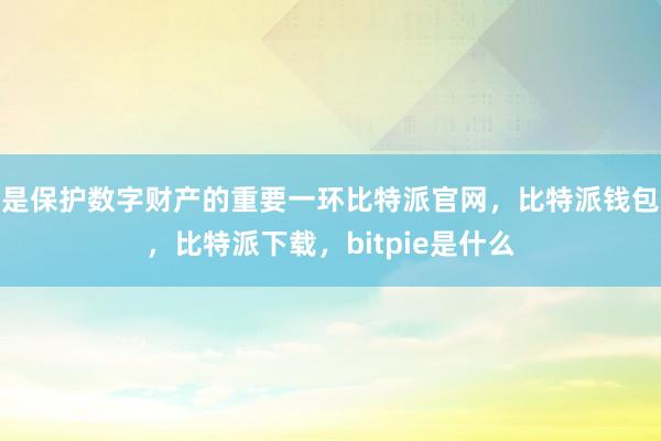 是保护数字财产的重要一环比特派官网，比特派钱包，比特派下载，bitpie是什么