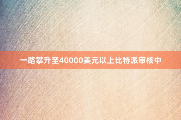 一路攀升至40000美元以上比特派审核中