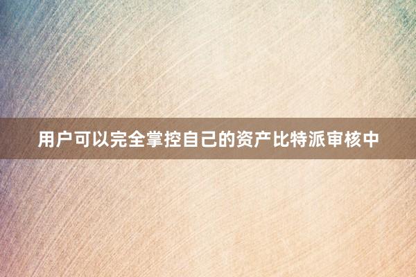 用户可以完全掌控自己的资产比特派审核中