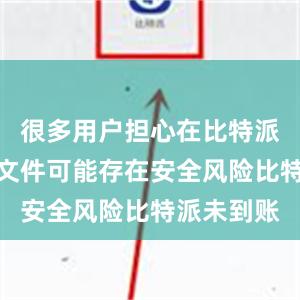 很多用户担心在比特派上下载的文件可能存在安全风险比特派未到账