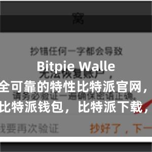 Bitpie Wallet不仅具有安全可靠的特性比特派官网，比特派钱包，比特派下载，bitpie是什么