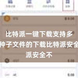 比特派一键下载支持多种种子文件的下载比特派安全不