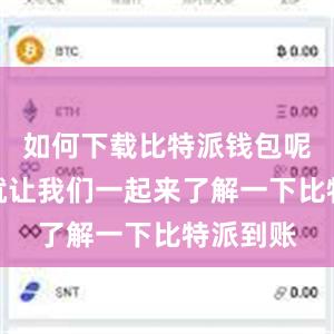 如何下载比特派钱包呢？下面就让我们一起来了解一下比特派到账