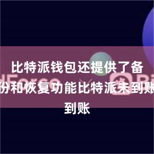 比特派钱包还提供了备份和恢复功能比特派未到账