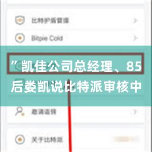 ”凯佳公司总经理、85后娄凯说比特派审核中