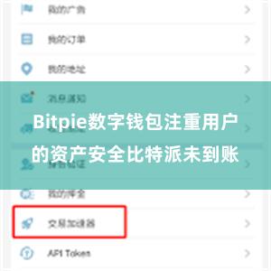 Bitpie数字钱包注重用户的资产安全比特派未到账