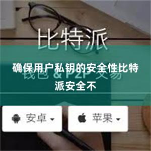 确保用户私钥的安全性比特派安全不