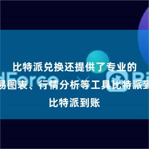 比特派兑换还提供了专业的交易图表、行情分析等工具比特派到账