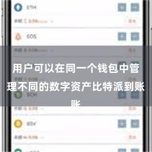 用户可以在同一个钱包中管理不同的数字资产比特派到账
